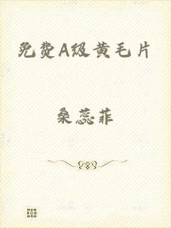 免费A级黄毛片
