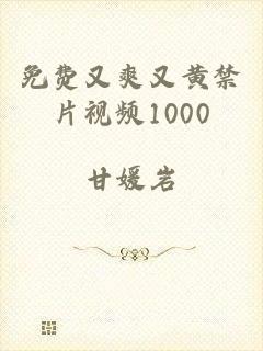 免费又爽又黄禁片视频1000