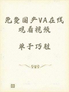 免费国产VA在线观看视频