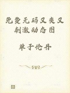 免费无码又爽又刺激动态图