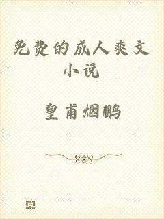免费的成人爽文小说