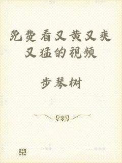 免费看又黄又爽又猛的视频
