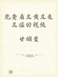 免费看又黄又爽又猛的视频
