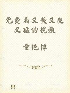 免费看又黄又爽又猛的视频