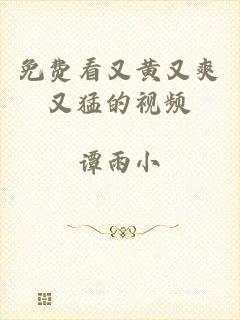 免费看又黄又爽又猛的视频
