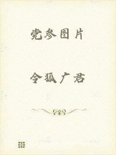 党参图片