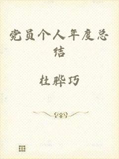 党员个人年度总结