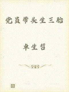 党员带头生三胎