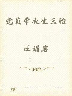 党员带头生三胎