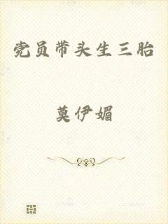 党员带头生三胎