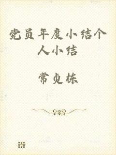 党员年度小结个人小结