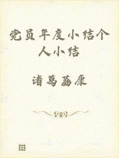 党员年度小结个人小结