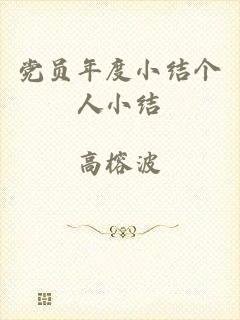 党员年度小结个人小结