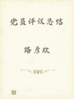 党员评议总结