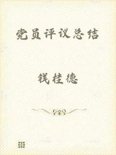 党员评议总结