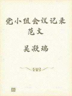 党小组会议记录范文