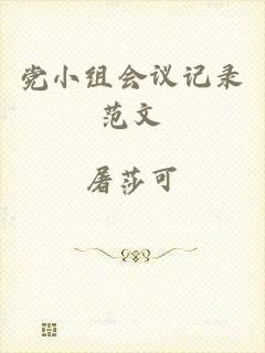 党小组会议记录范文