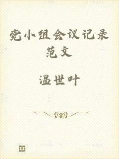 党小组会议记录范文