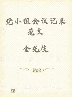 党小组会议记录范文