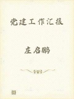 党建工作汇报