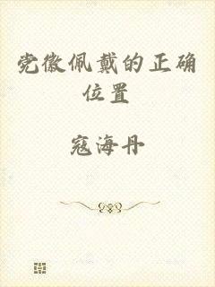 党徽佩戴的正确位置