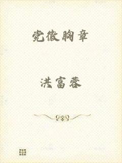 党徽胸章