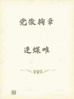 党徽胸章