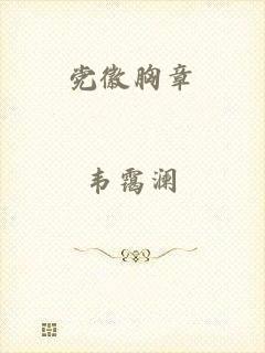 党徽胸章