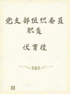 党支部组织委员职责
