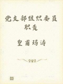 党支部组织委员职责