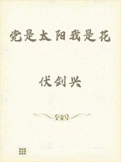 党是太阳我是花