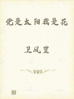党是太阳我是花