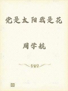 党是太阳我是花