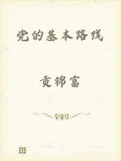 党的基本路线