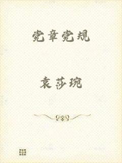 党章党规