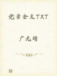 党章全文TXT
