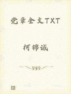 党章全文TXT