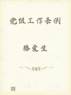 党组工作条例