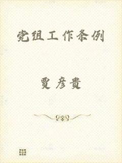 党组工作条例