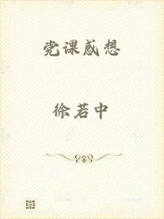 党课感想