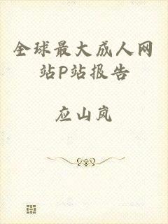 全球最大成人网站P站报告