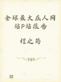 全球最大成人网站P站报告