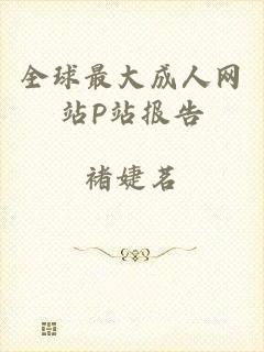 全球最大成人网站P站报告
