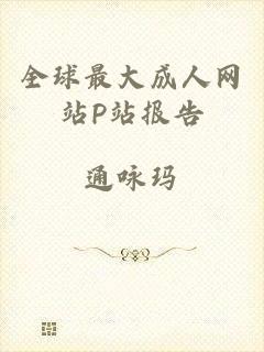 全球最大成人网站P站报告
