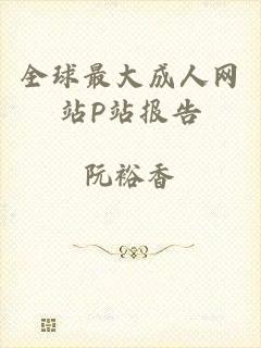 全球最大成人网站P站报告