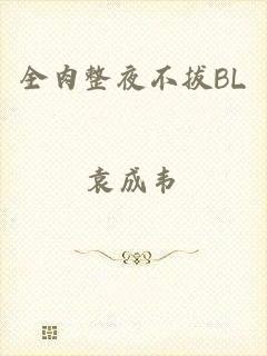 全肉整夜不拔BL