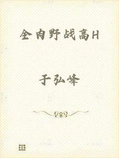 全肉野战高H