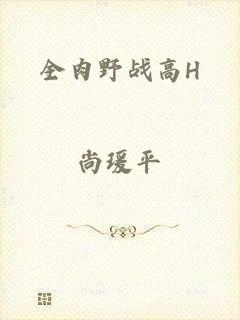 全肉野战高H