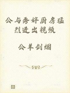 公与秀婷厨房猛烈进出视频
