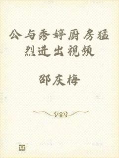 公与秀婷厨房猛烈进出视频
